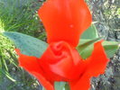 DSC01887