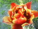 DSC01890