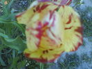 DSC01901