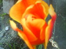 DSC01913