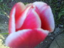 DSC01914