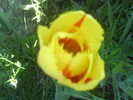 DSC01934