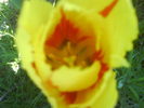 DSC01935