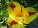 DSC01939