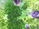 DSC01940