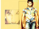 shahid-kapoor-015_jpg_595