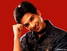 shahid-kapoor-018