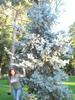 IN PARC..