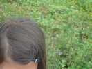 DSC02680