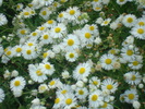 DSC02715