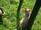 DSC02725