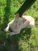 DSC02726