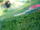 DSC02747