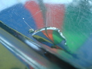 DSC02755