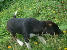 DSC02809