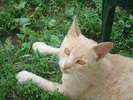 DSC02815