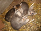 DSC02835