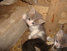 DSC02839