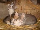 DSC02841