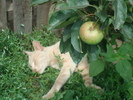 DSC02848