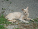 DSC02849