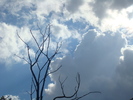 DSC02854