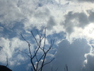 DSC02855
