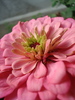 DSC02859