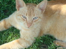 DSC02861