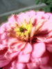 DSC02867