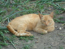 DSC02871