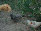 DSC02873