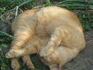 DSC02879