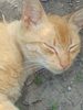 DSC02880