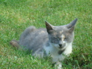 DSC02882