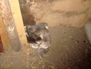 DSC02892