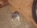 DSC02894
