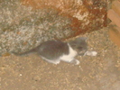 DSC02895