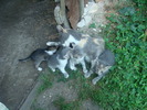 DSC02908