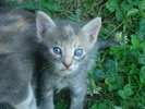 DSC02909