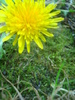 DSC03211