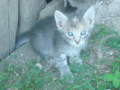 DSC03228