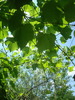DSC03248