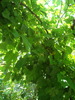 DSC03249