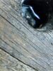 DSC03260