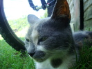 DSC03267