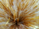 DSC03276