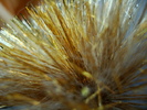 DSC03277