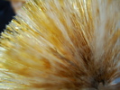DSC03278