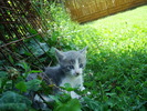 DSC03324